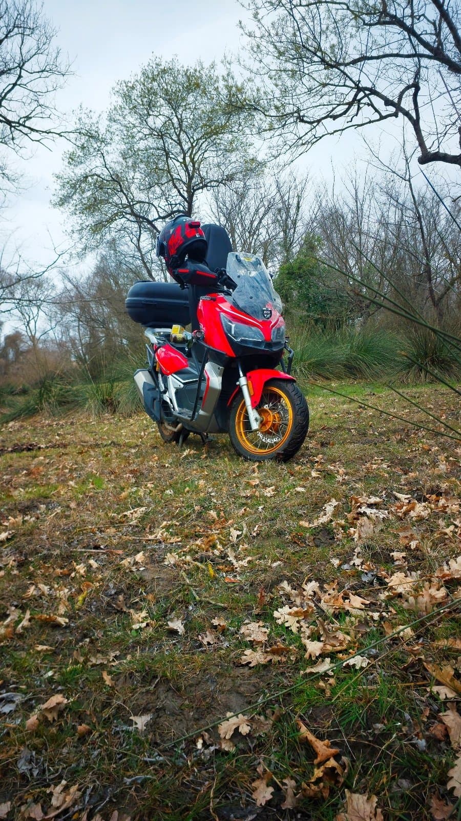 rks reale 125x - 1